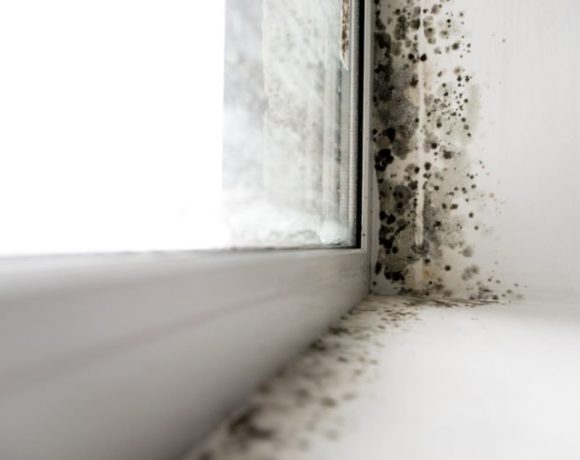 La moisissure provoque des dommages structurels aux maisons
